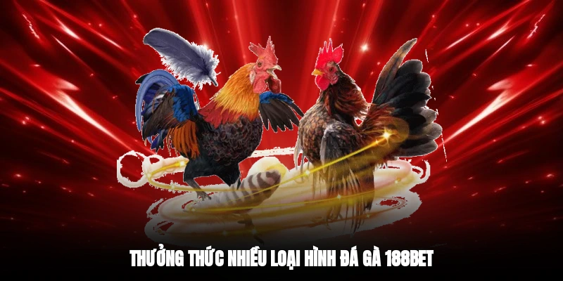 Thưởng thức nhiều loại hình đá gà 188BET